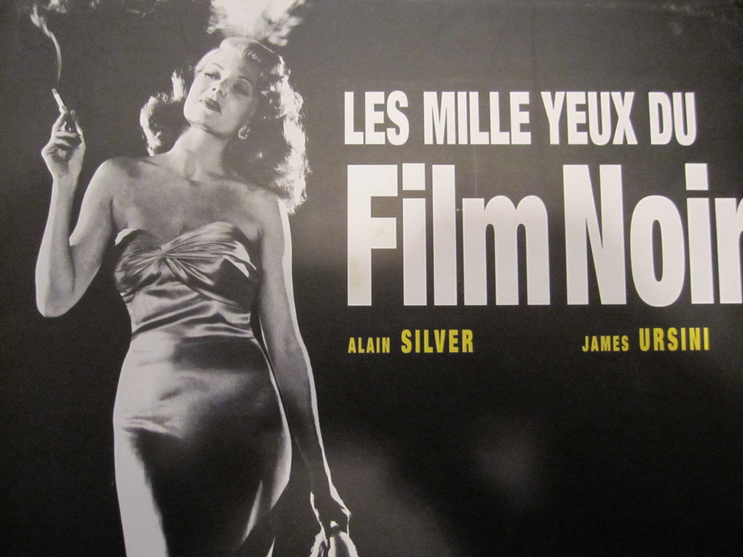 Les Mille yeux du film noir book