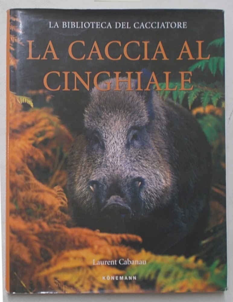 La caccia al cinghiale. Ediz. illustrata Leisure & Fun