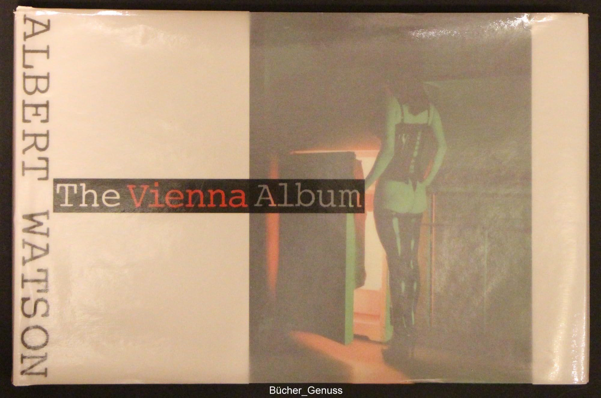 The Vienna Album: Photographien. Dt. /Engl. Film, Art & Culture