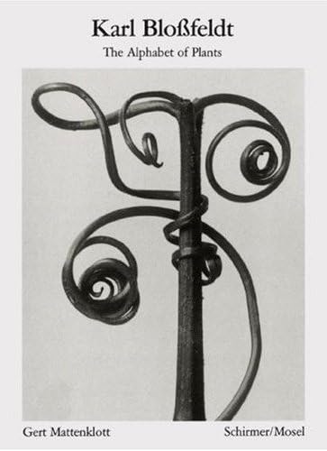 Karl Blossfeldt: The Alphabet of Plants book