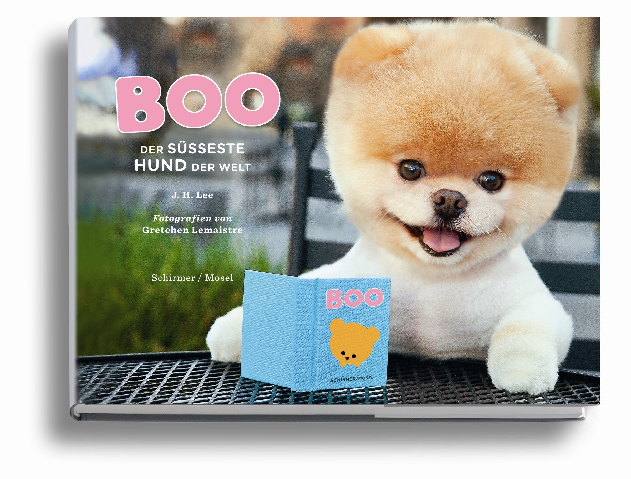 Boo - Der süßeste Hund der Welt Film, Art & Culture