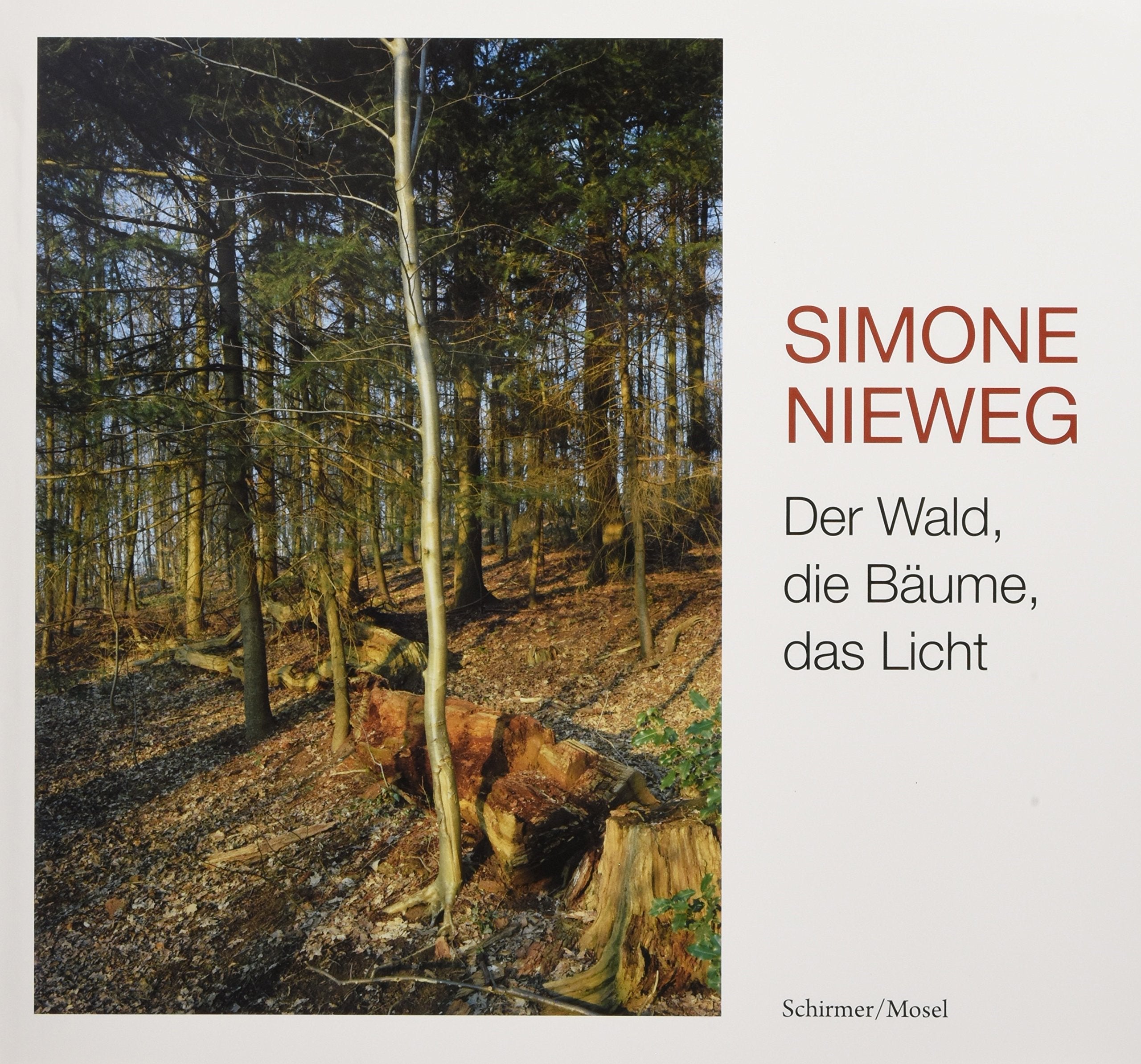 Der Wald, die Bäume, das Licht: Photographien. Mit einem Gedicht von Heinrich Heine Travel