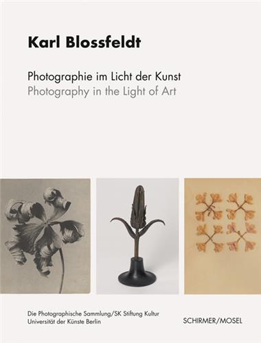 Karl Blossfeldt Photography in the Light of Art Photography