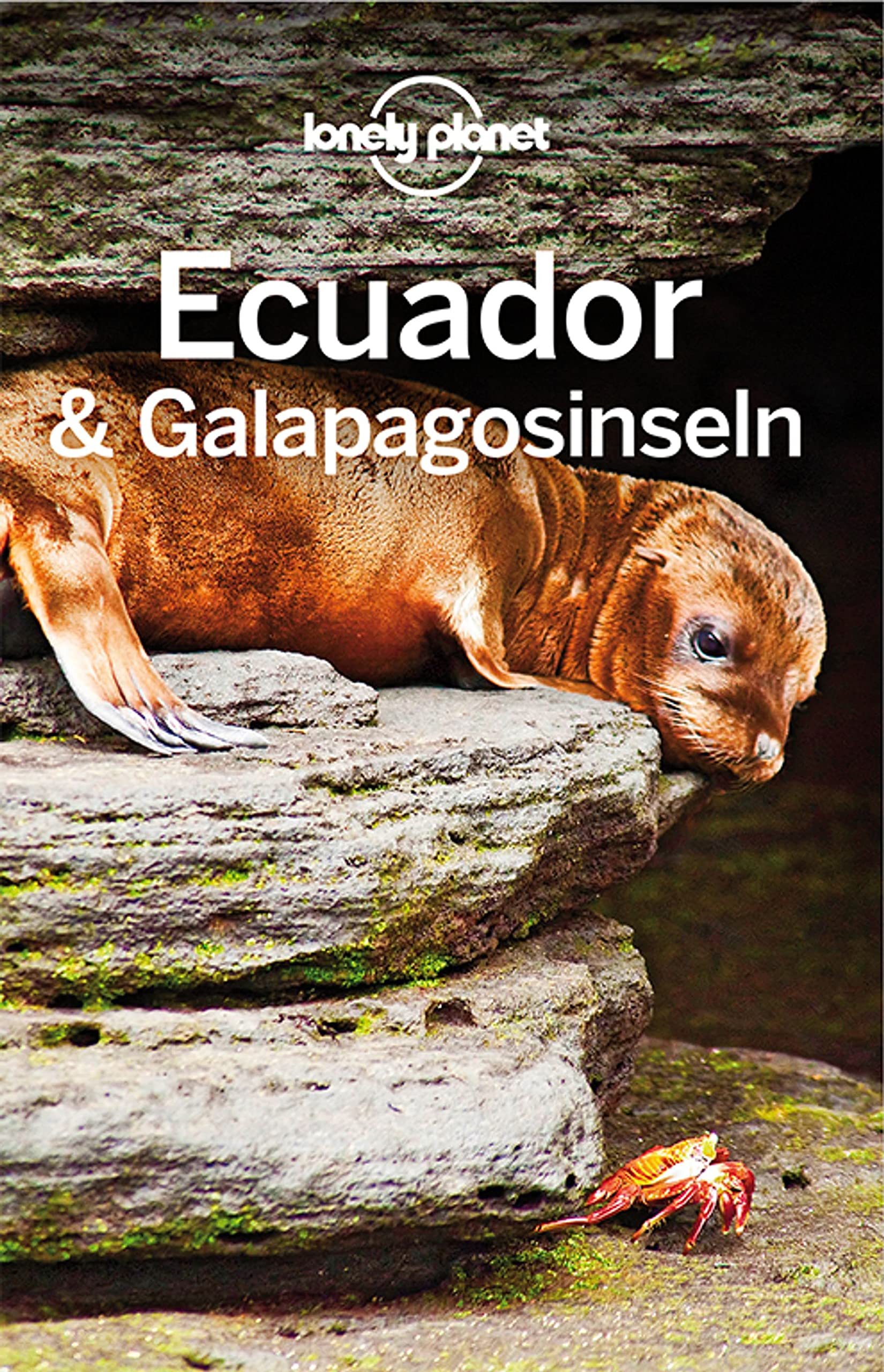 Lonely Planet Reiseführer Ecuador & Galápagosinseln Leisure, Home & Garden