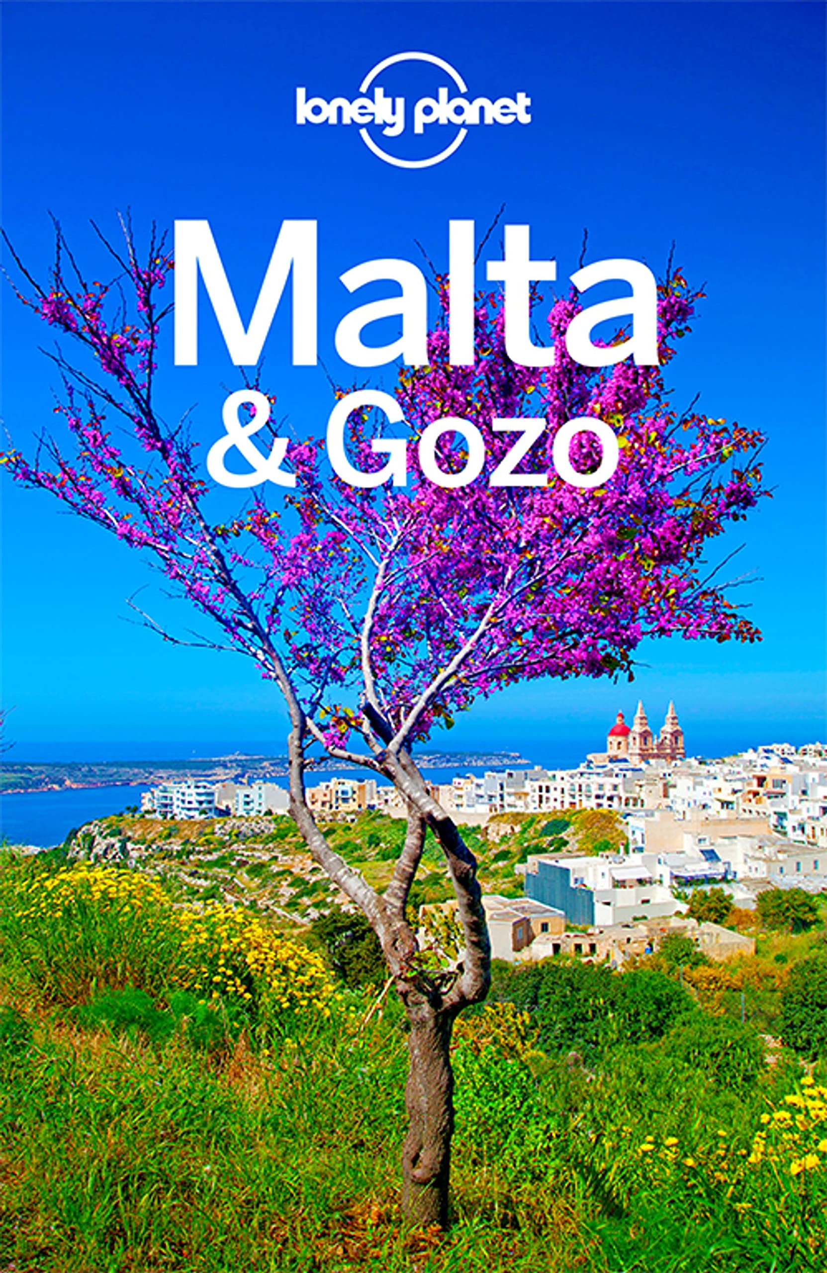Lonely Planet Reiseführer Malta & Gozo Leisure, Home & Garden