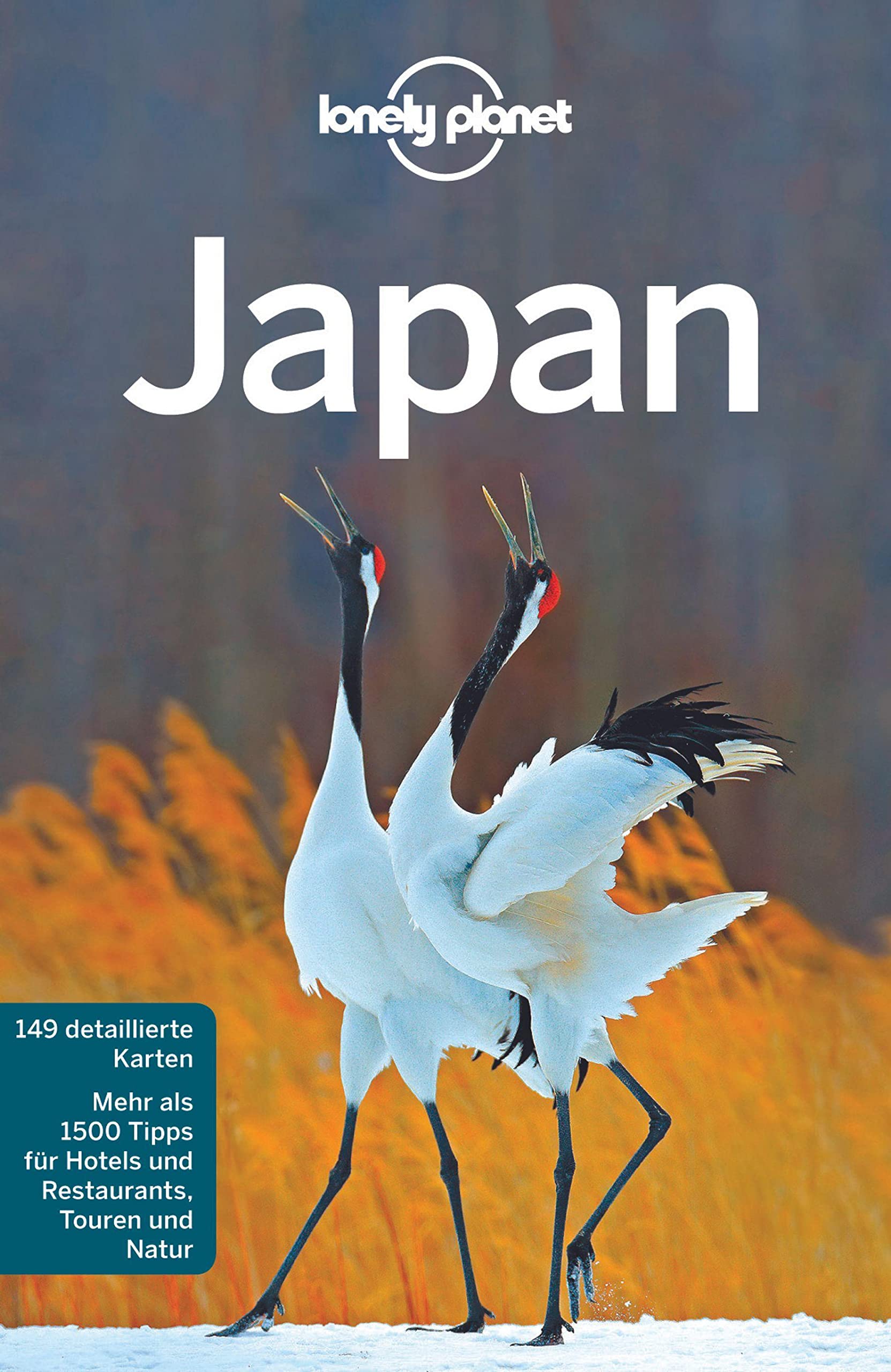 Lonely Planet Reiseführer Japan Leisure, Home & Garden