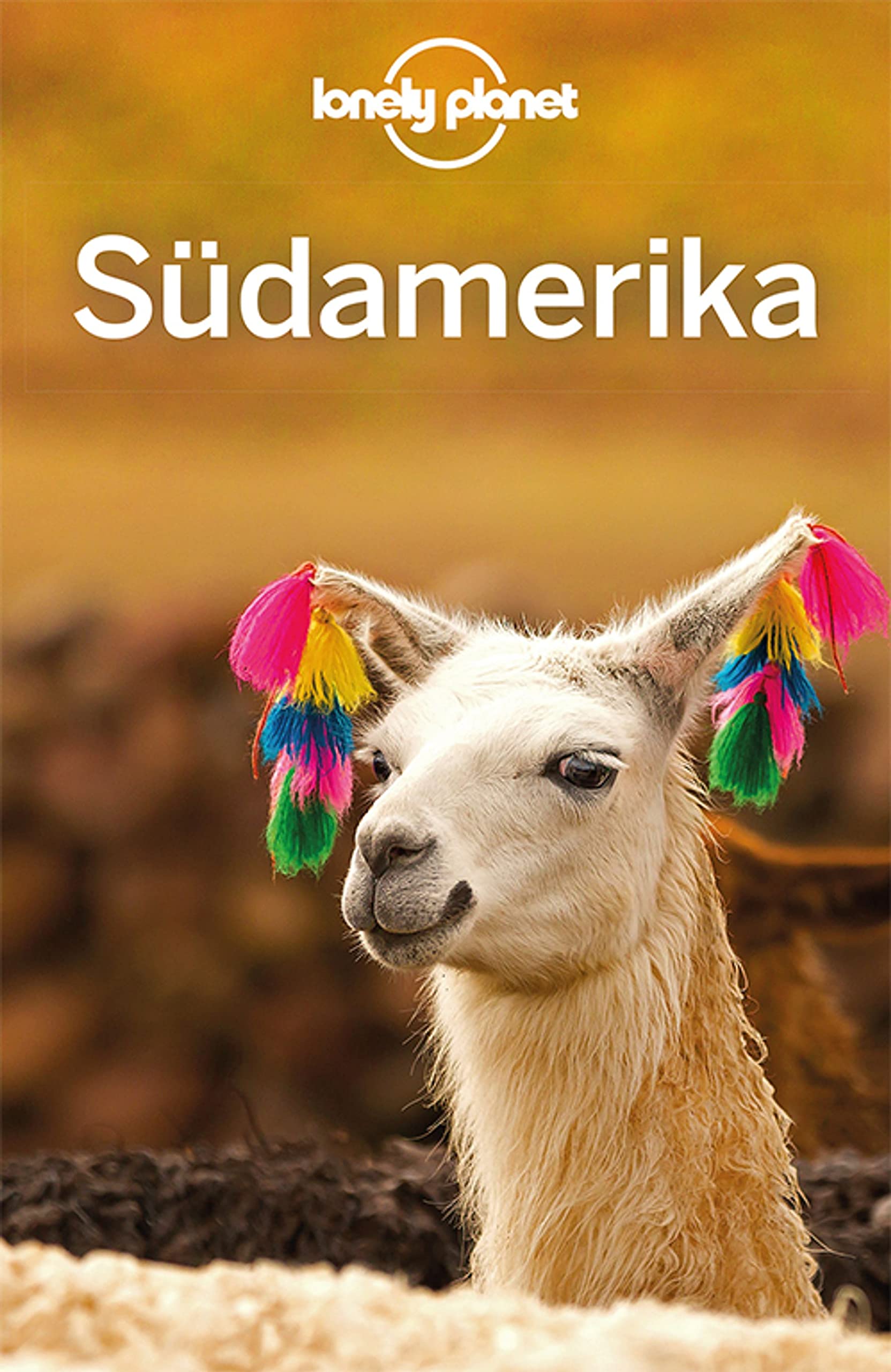 Lonely Planet Reiseführer Südamerika Leisure, Home & Garden