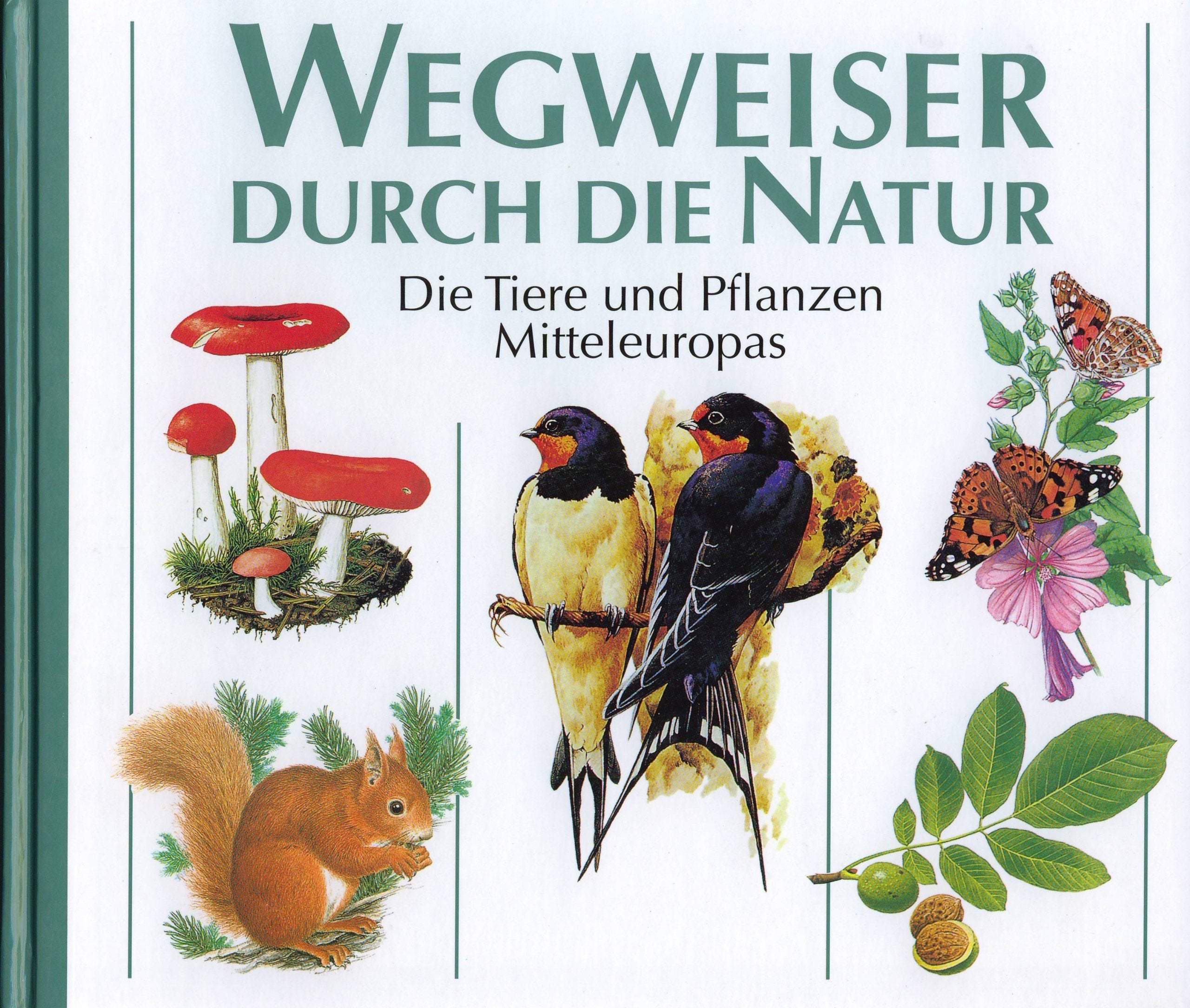 Wegweiser durch die Natur: Bestimmungsbuch für Flora und Fauna Leisure, Home & Garden
