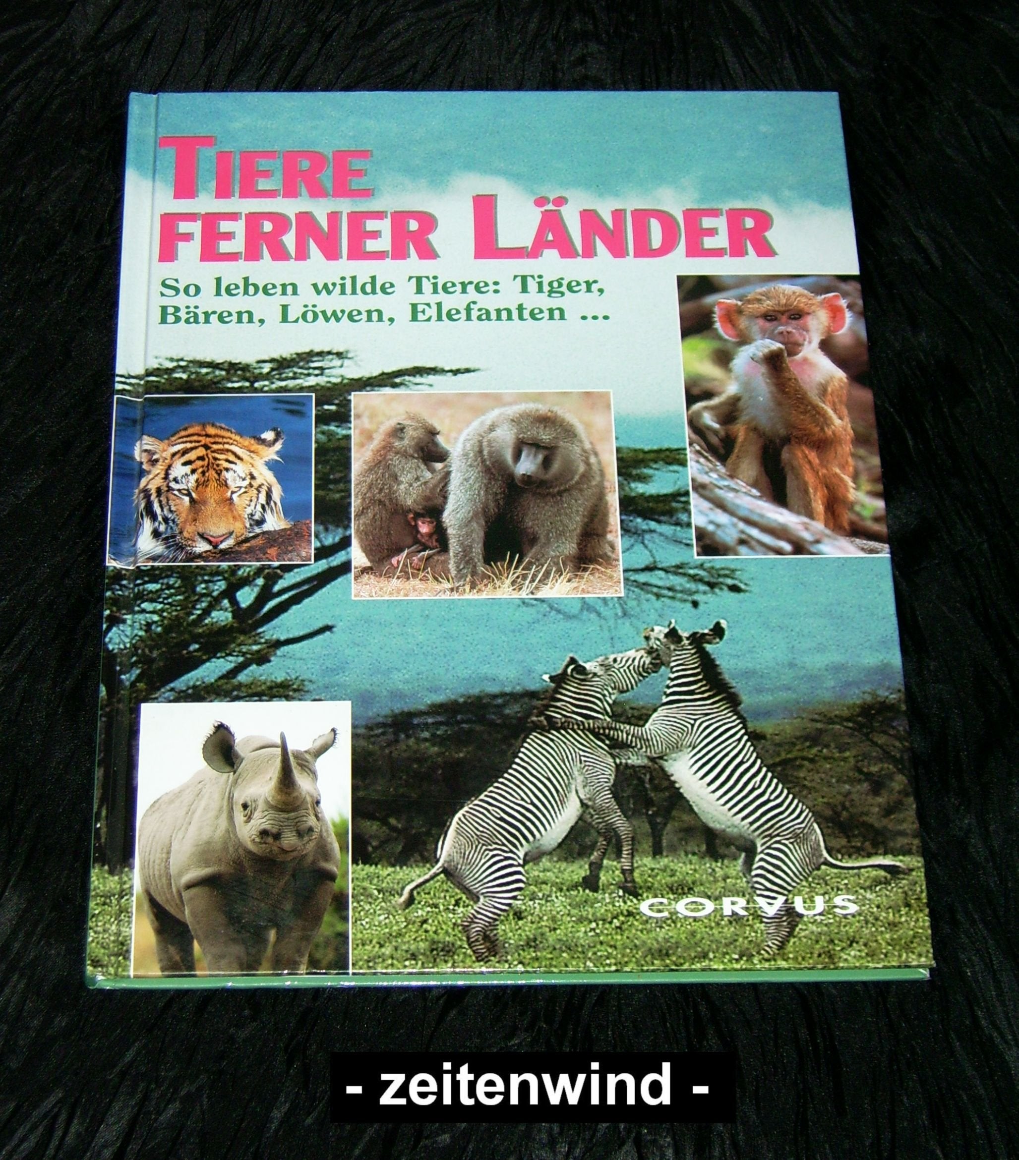 Tiere ferner Länder - So leben wilde Tiere: Tiger, Bären, Löwen, Elefanten... Books