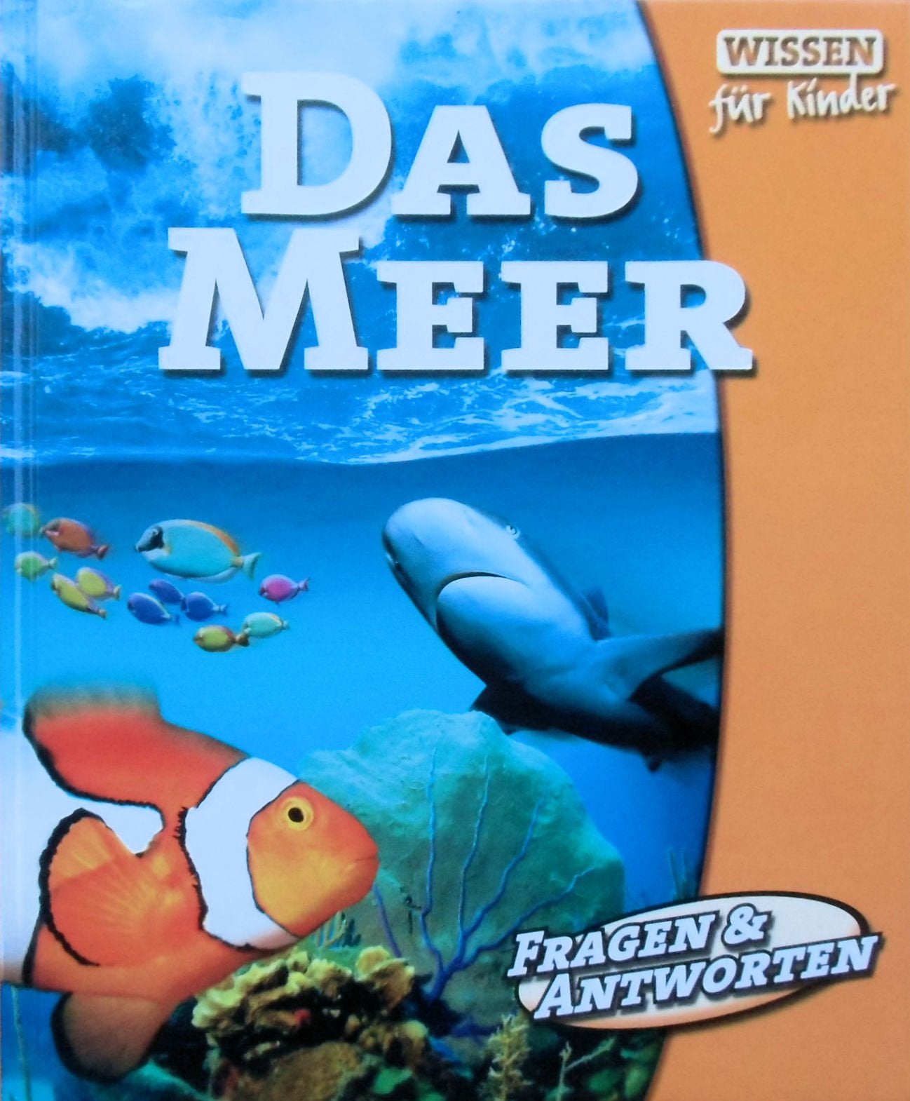 Das Meer: Fragen & Antworten Politics & History books