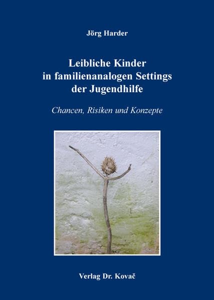 Leibliche Kinder in familienanalogen Settings der Jugendhilfe: Chancen, Risiken und Konzepte (Schriftenreihe Sozialpädagogik in Forschung und Praxis) Social Sciences