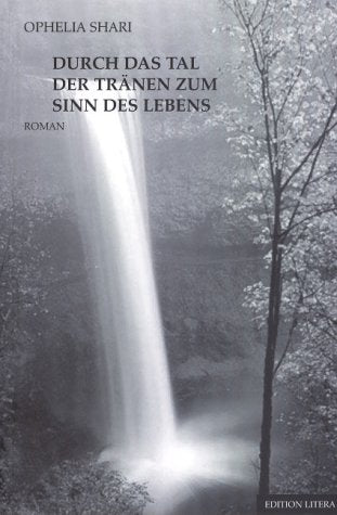 Durch das Tal der Tränen zum Sinn des Lebens: Roman Contemporary literature