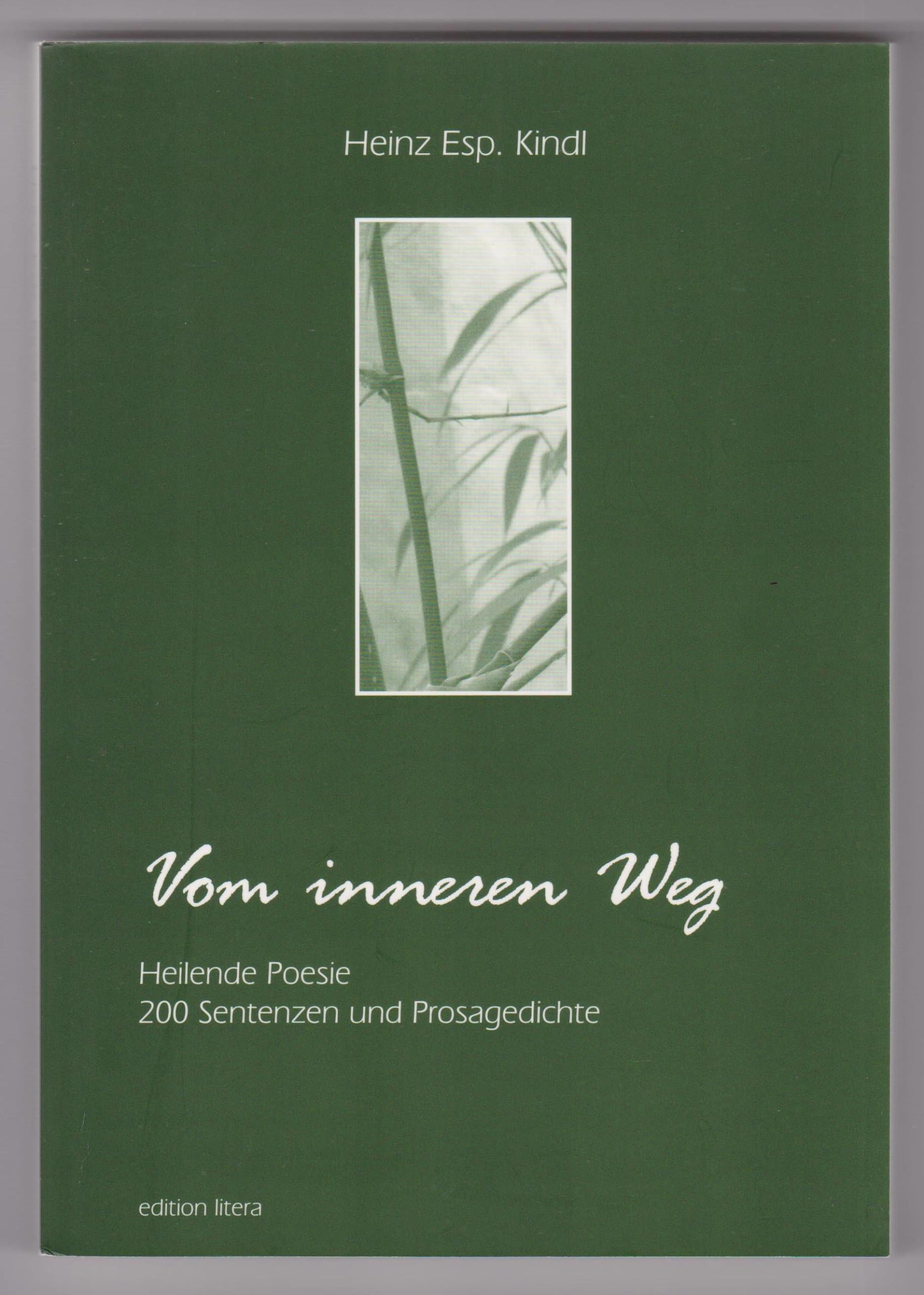 Vom inneren Weg: Heilende Poesie. 200 Sentenzen und Prosagedichte (edition litera) Self-help