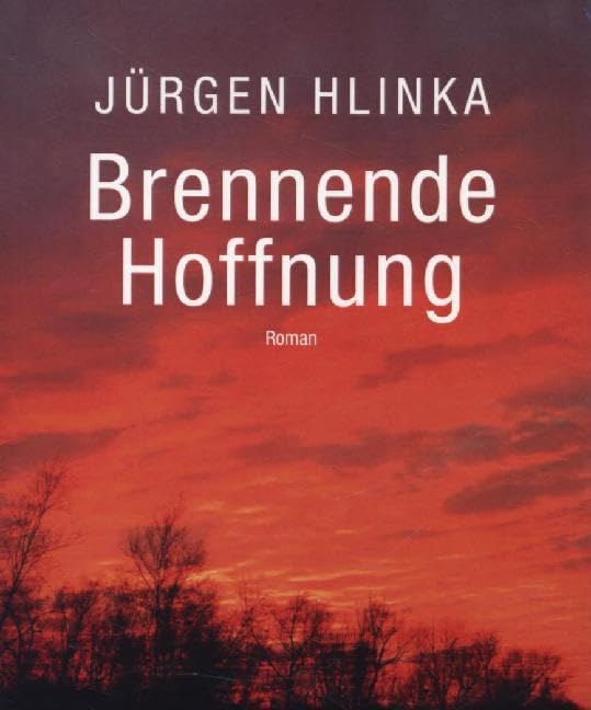 Brennende Hoffnung: Roman (R.G. Fischer INTERBOOKs ECO) Contemporary literature