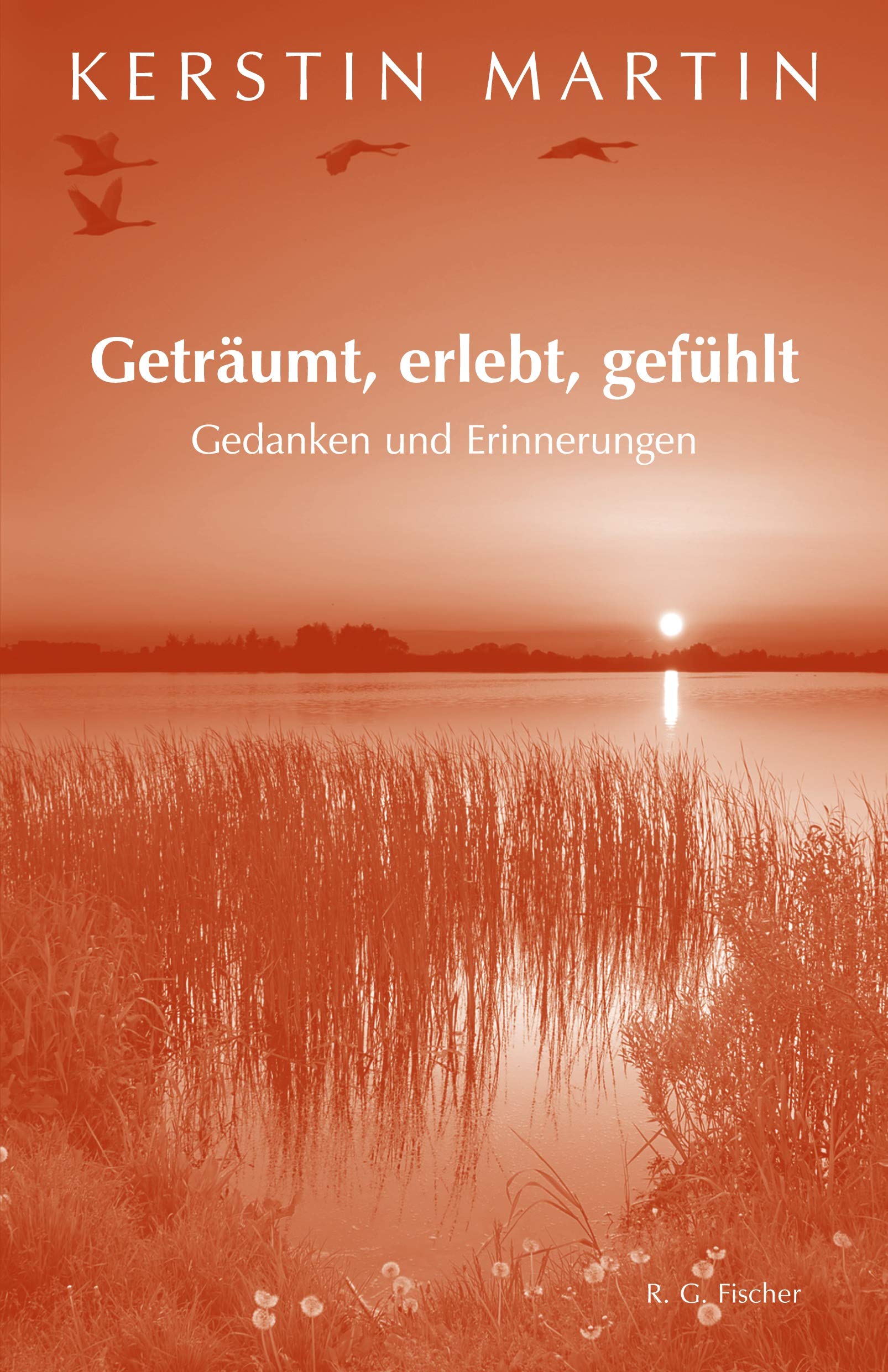 Geträumt, erlebt, gefühlt: Gedanken und Erinnerungen Contemporary literature
