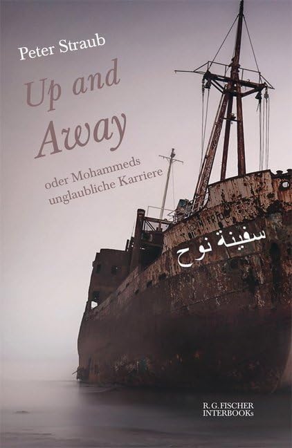 Up and Away oder Mohammeds unglaubliche Karriere: Ein modernes Märchen (R.G. Fischer INTERBOOKs ECO) Contemporary literature