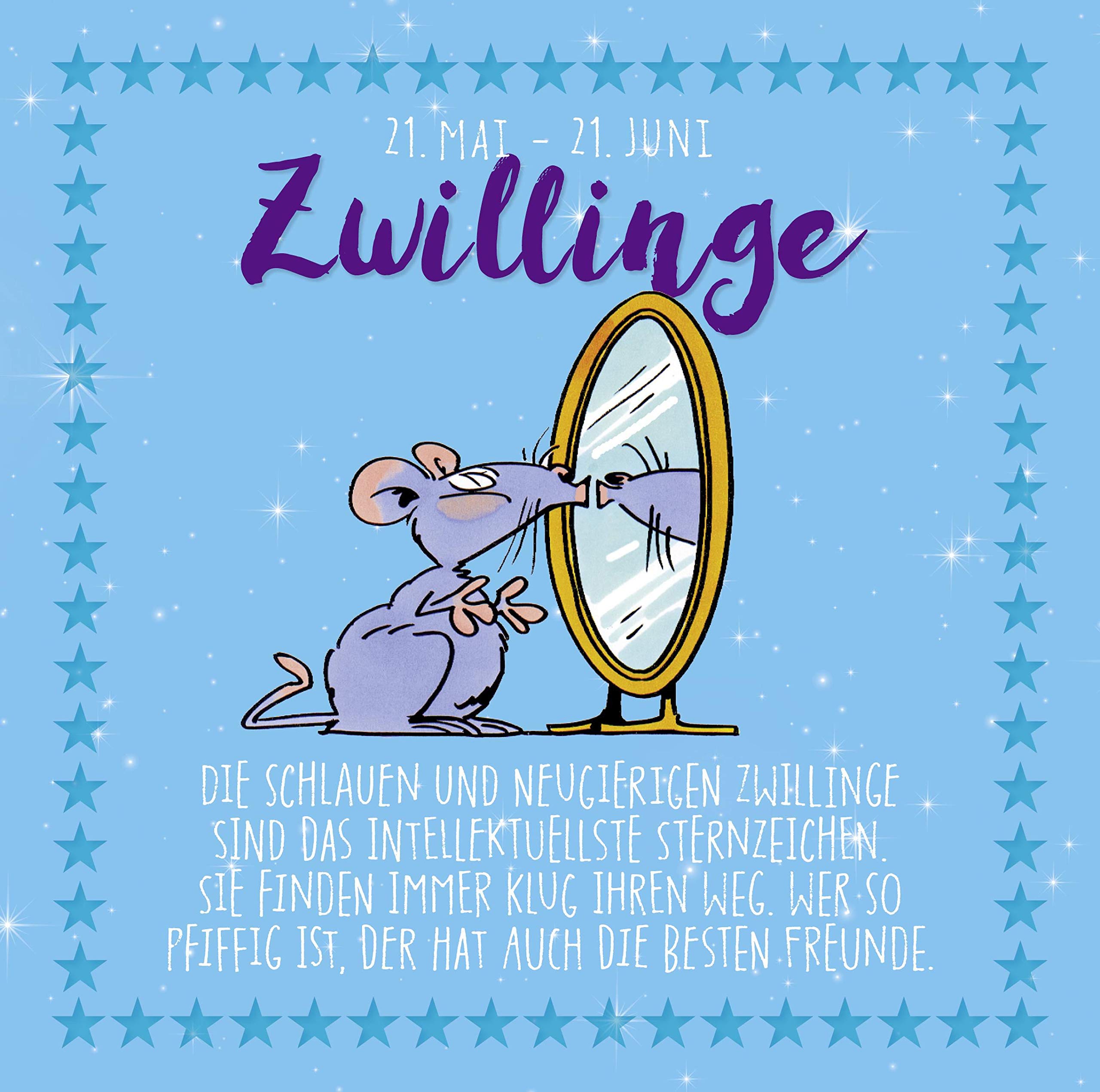 Zwillinge: 21. Mai – 21. Juni (Sternzeichen-Reihe) (Lustige Sternzeichen) Manga