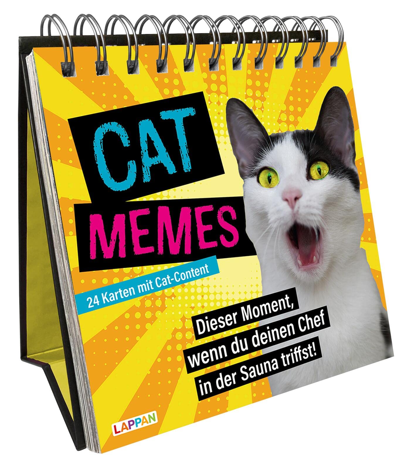 CAT Memes - Kultgeschenk für Katzenfreunde book