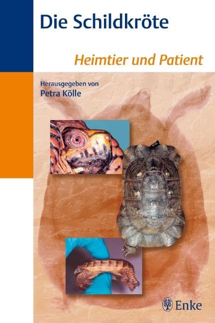 Die Schildkröte Medicine Books