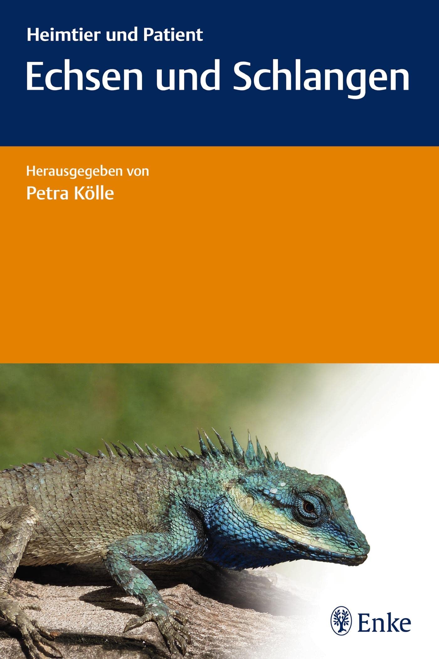 Echsen und Schlangen: Heimtier und Patient Medicine