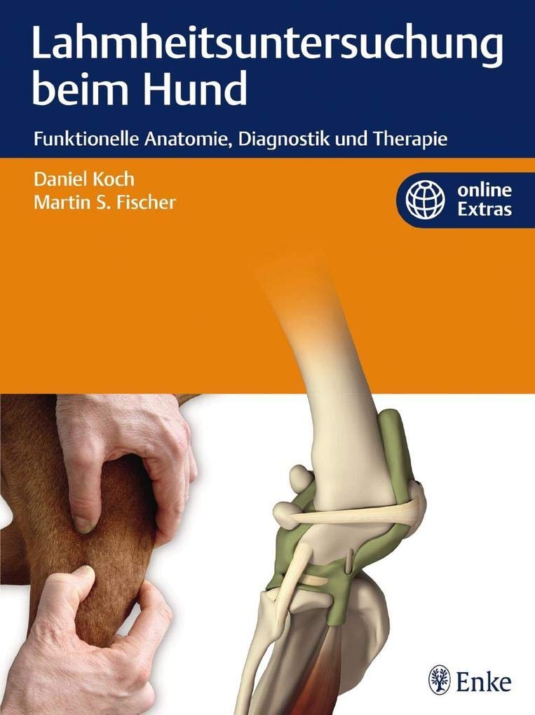 Lahmheitsuntersuchung beim Hund Medicine