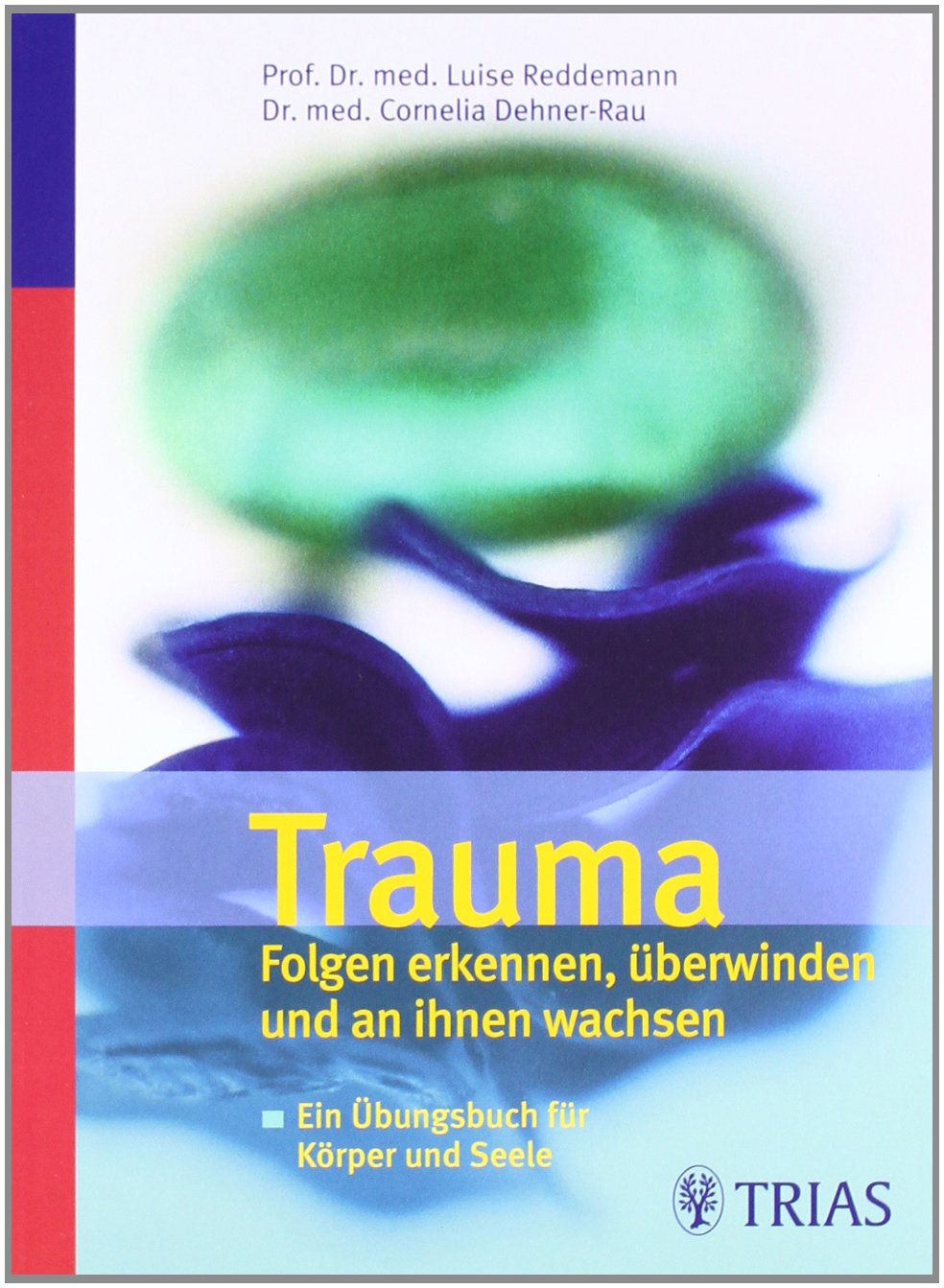 Trauma Folgen erkennen, überwinden und an ihnen wachsen: Ein Übungsbuch für Körper und Seele Psychology