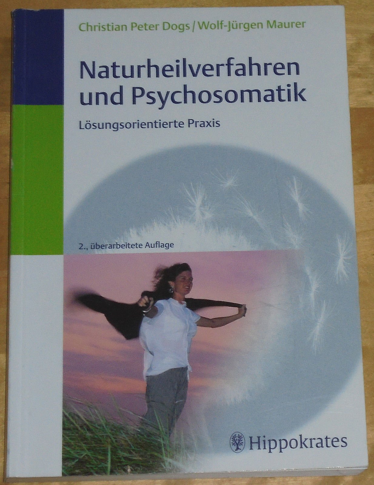 Naturheilverfahren und Psychosomatik: Lösungsorientierte Praxis Medicine