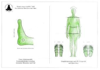 Reflexzonen der Füße (Tafel A4): Mit Beiheft: "Die Reflexzonentherapie am Fuß" (54. Aufl. 2005) zur Patienteninformation Medicine