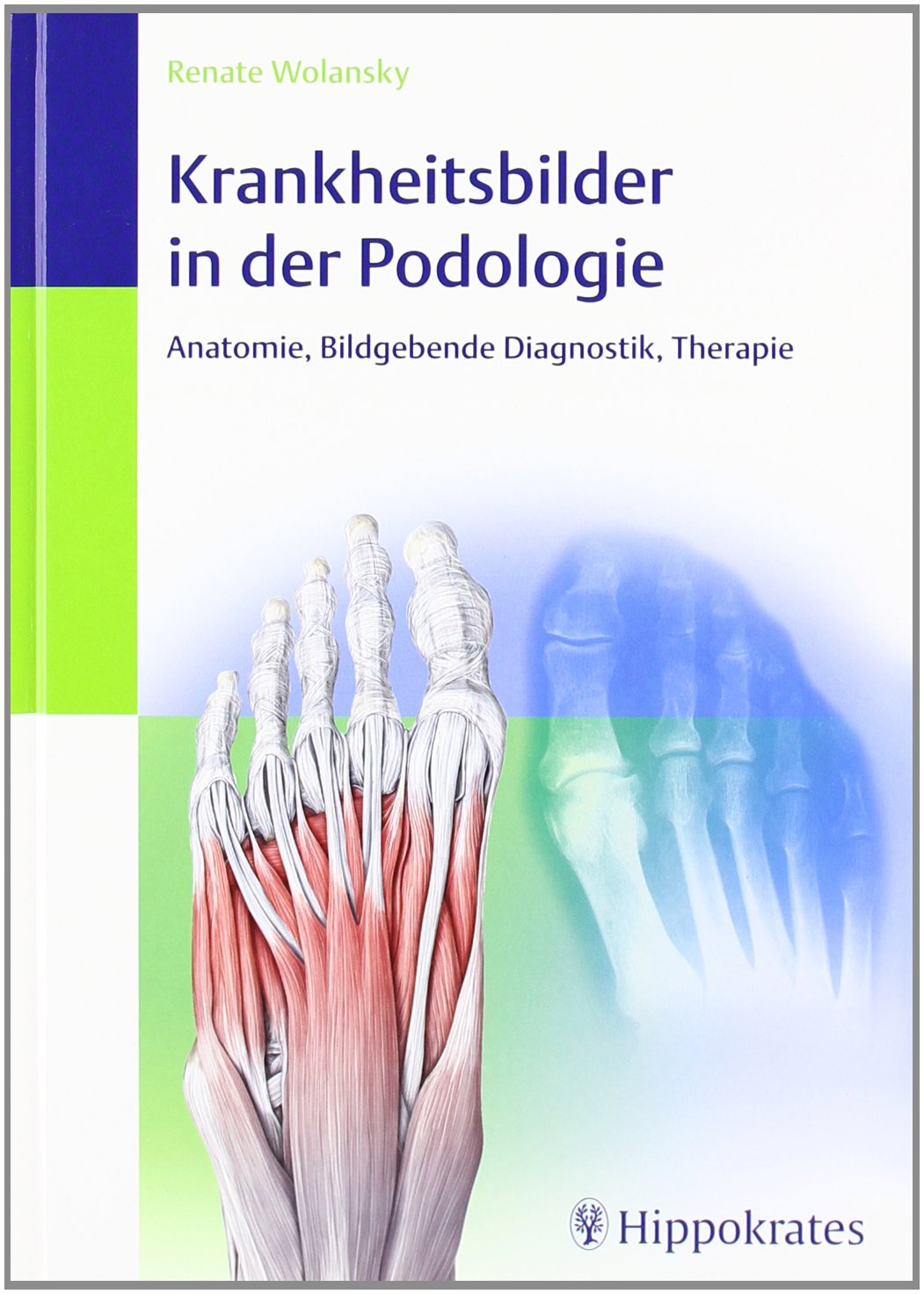 Krankheitsbilder in der Podologie: Anatomie, Bildgebende Diagnostik, Therapie Medicine