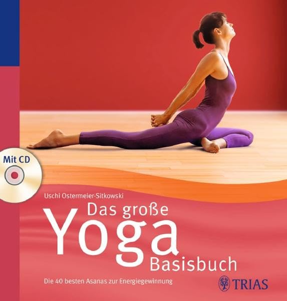 Das große Yoga Basisbuch Health, Nutrition & Fitness Books
