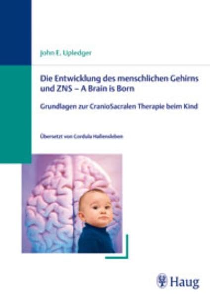 Die Entwicklung des menschlichen Gehirns und ZNS - A Brain is Born: Grundlagen zur CranioSacralen Therapie beim Kind Medicine