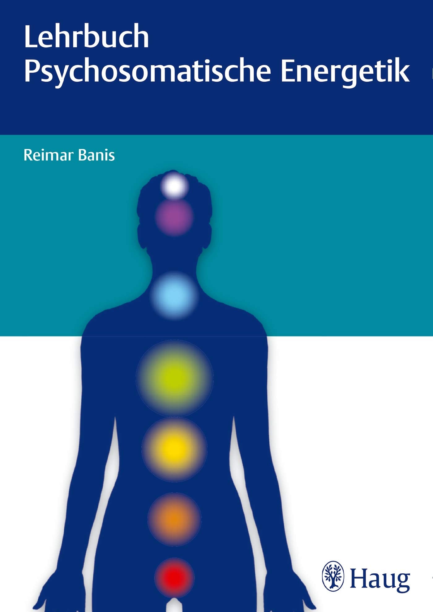 Lehrbuch Psychosomatische Energetik Medicine
