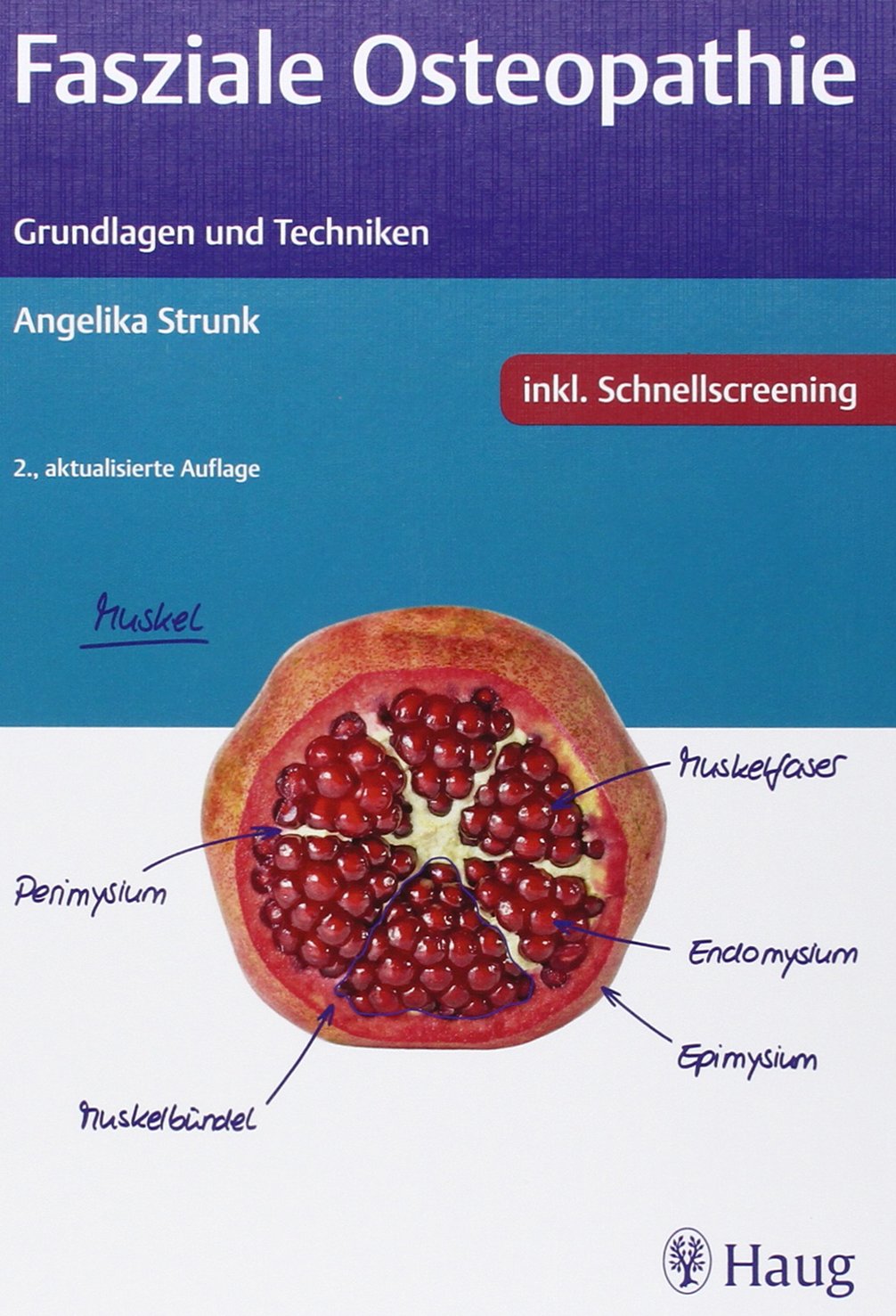 Fasziale Osteopathie: Grundlagen und Techniken Medicine