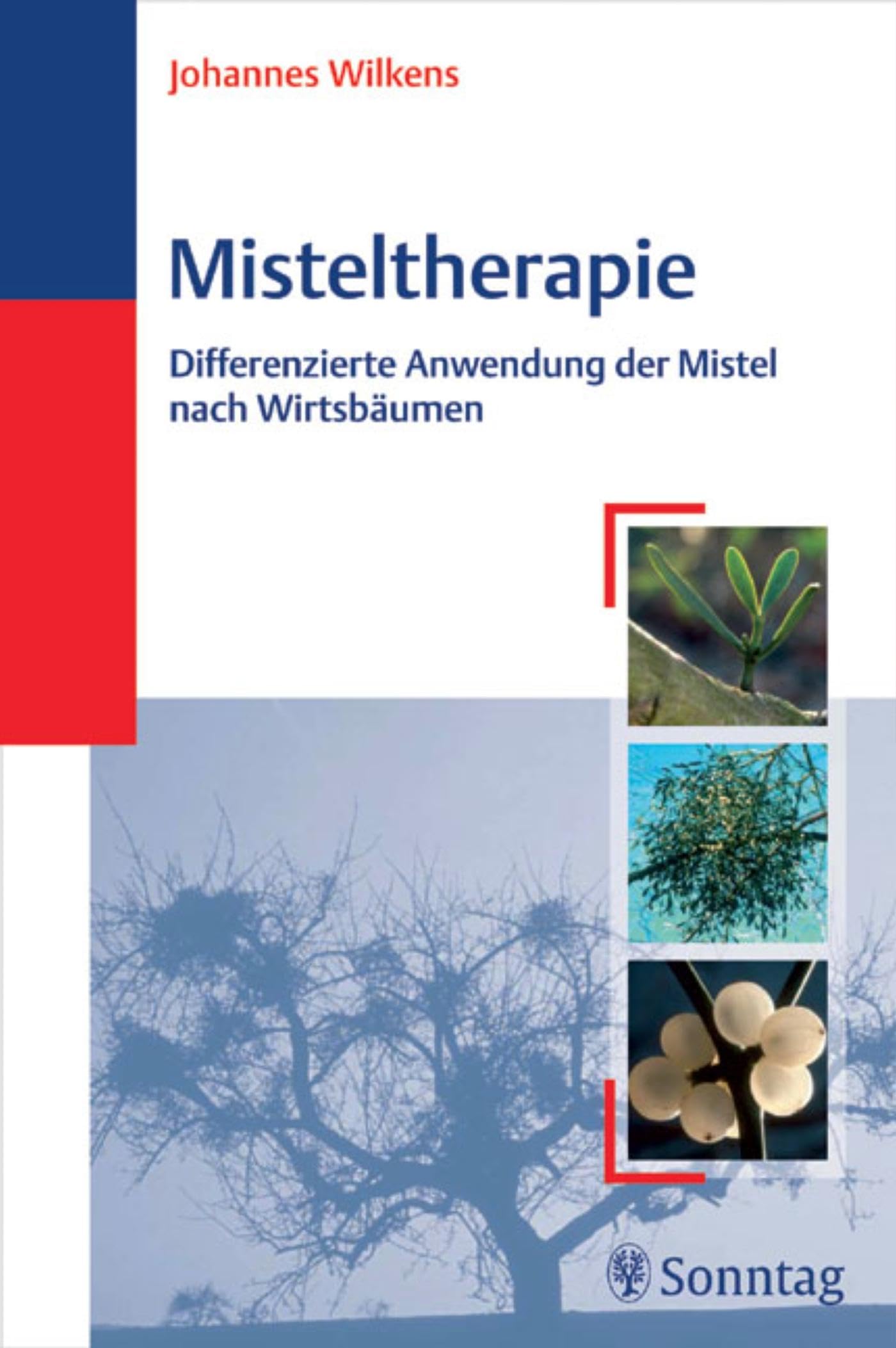 Misteltherapie: Differenzierte Anwendung der Mistel nach Wirtsbäumen Medicine