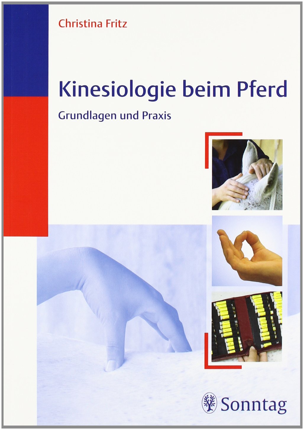 Kinesiologie beim Pferd: Grundlagen und Praxis Medicine