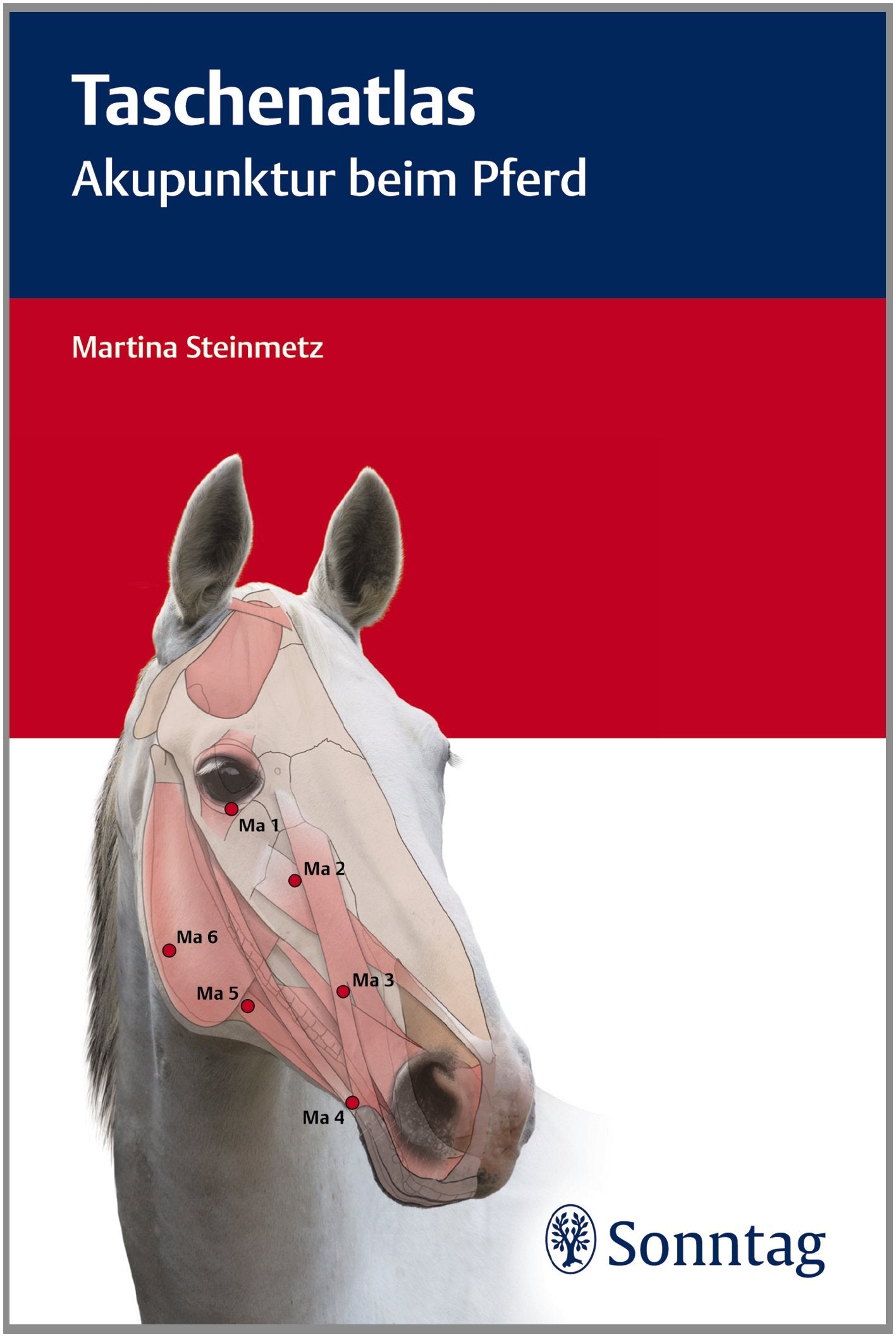 Taschenatlas Akupunktur beim Pferd Medicine