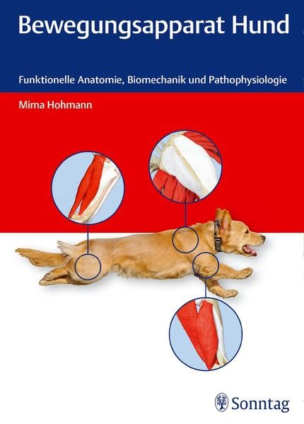 Product Image: Bewegungsapparat Hund