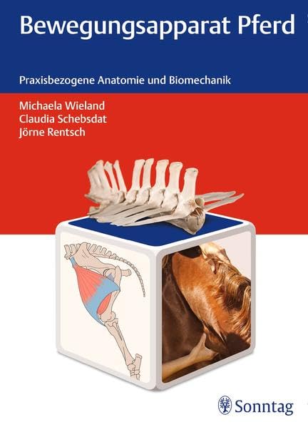 Bewegungsapparat Pferd Medicine