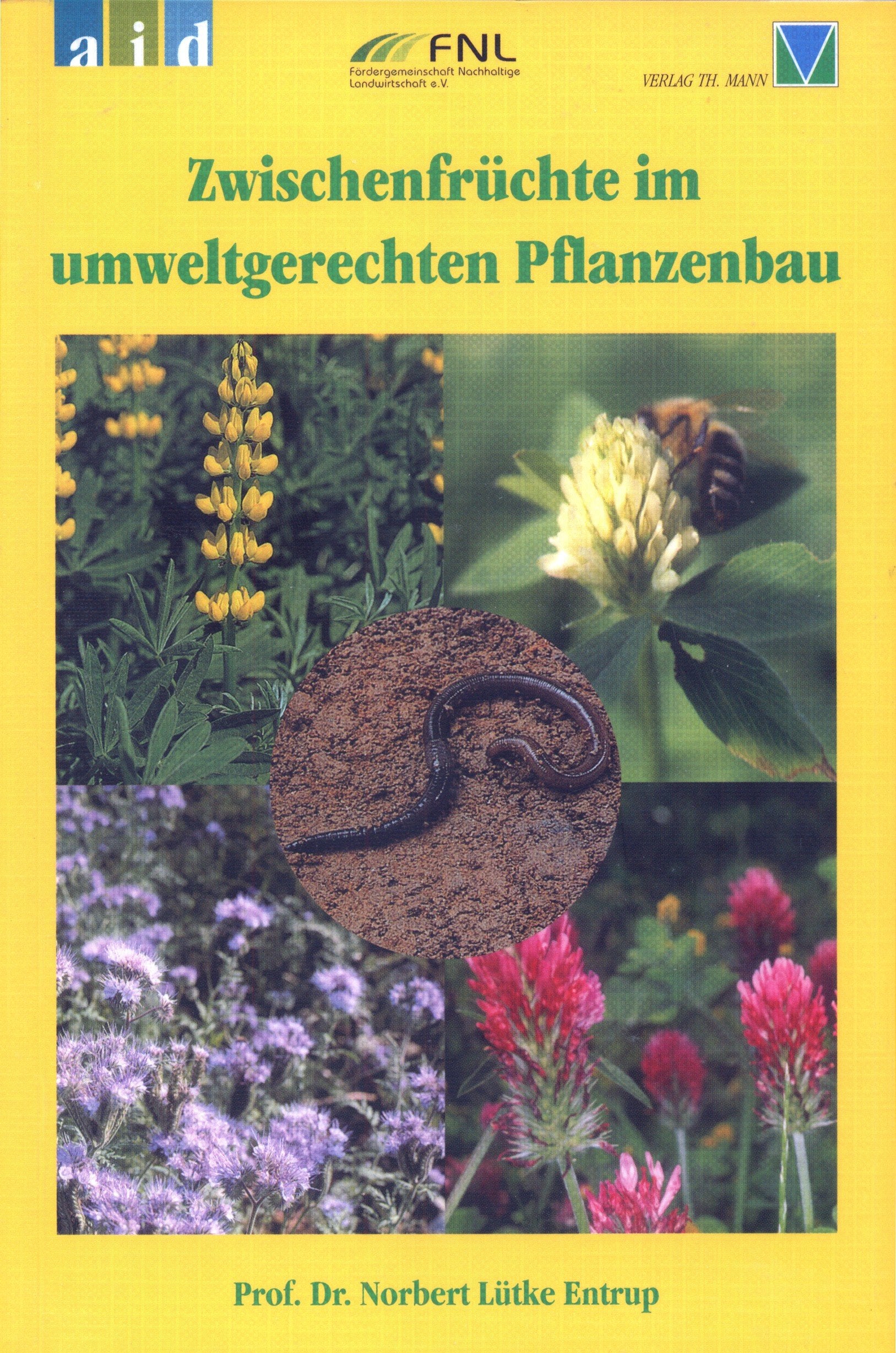 Zwischenfrüchte im umweltgerechten Pflanzenbau Leisure, Home & Garden