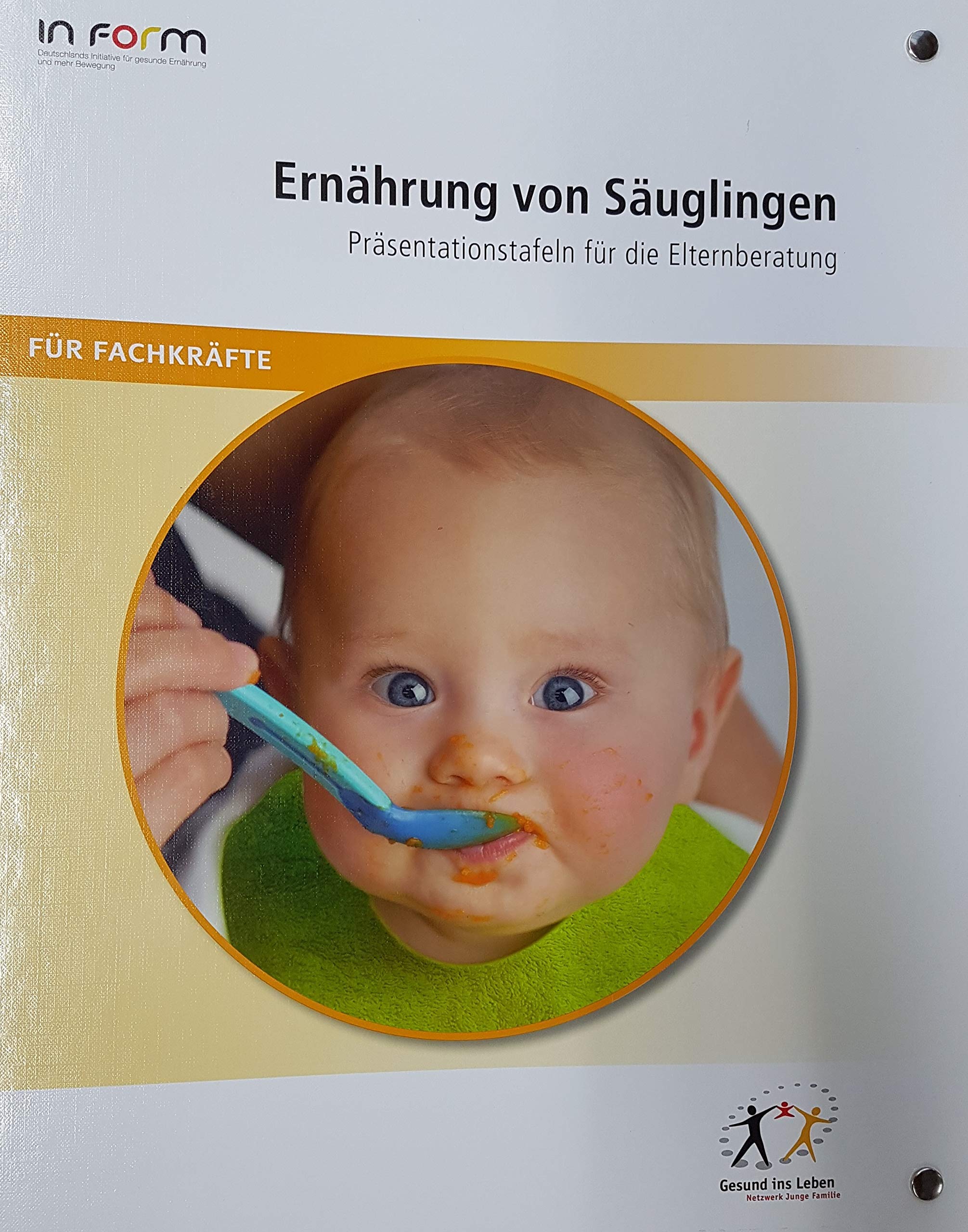 Ernährung von Säuglingen. Präsentationstafeln für die Elternberatung. Für Fachkräfte Books