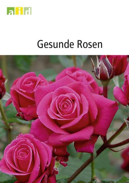 Gesunde Rosen Garden & Plants Books