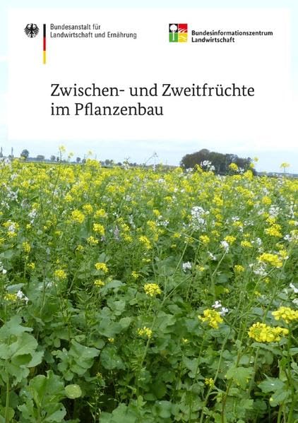 Zwischen- und Zweitfrüchte im Pflanzenbau Film, Art & Culture