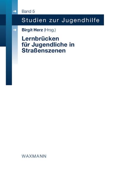Lernbrücken für Jugendliche in Straßenszenen (Studien zur Jugendhilfe) Books