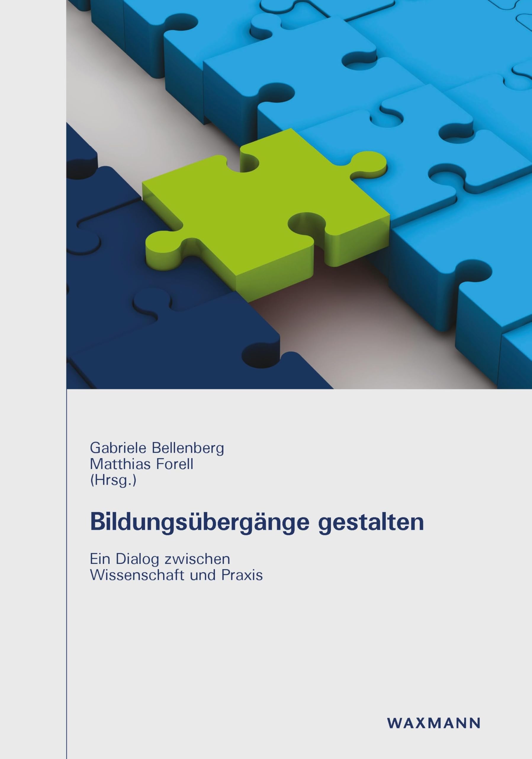 Product Image: Bildungsübergänge gestalten
