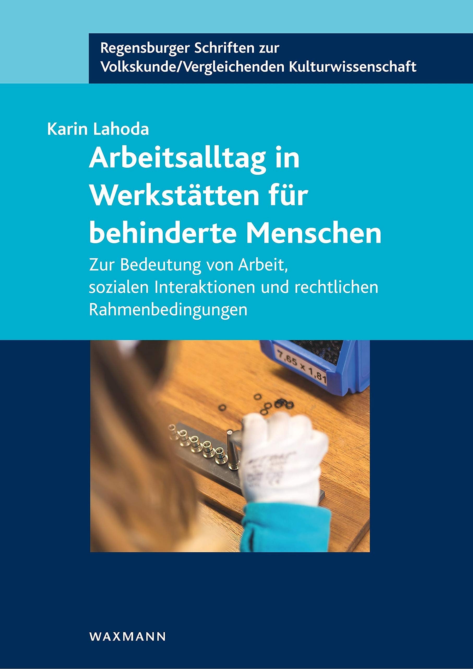 Arbeitsalltag in Werkstätten für behinderte Menschen: Zur Bedeutung von Arbeit, sozialen Interaktionen und rechtlichen Rahmenbedingungen book