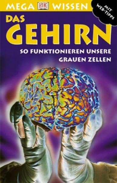 Das Gehirn: So funktionieren unsere grauen Zellen Non-fiction