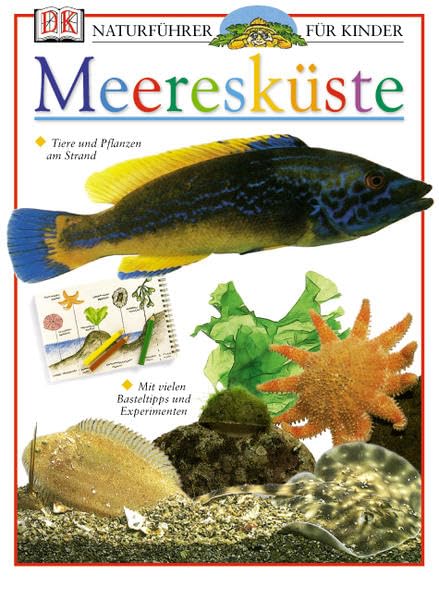 Meeresküste Non-fiction books for kids