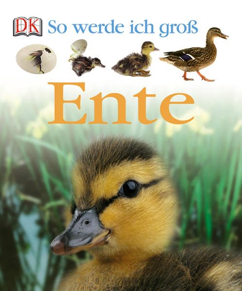 Ente Non-fiction