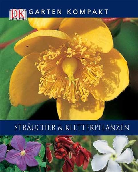 Sträucher und Kletterpflanzen Garden & Plants
