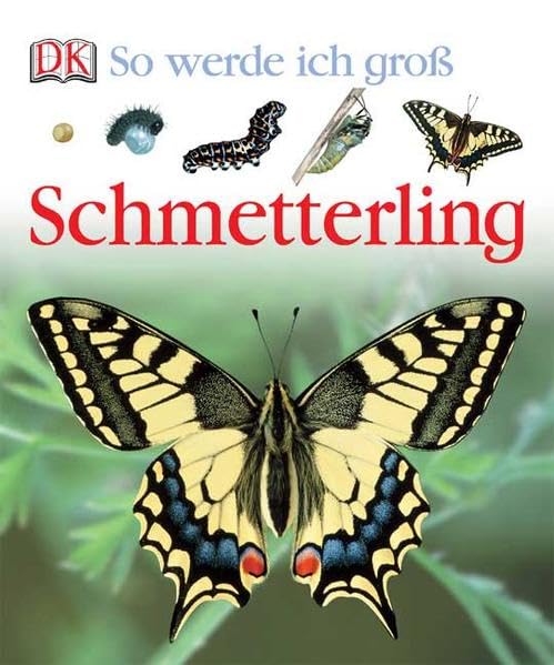 Schmetterling Non-fiction